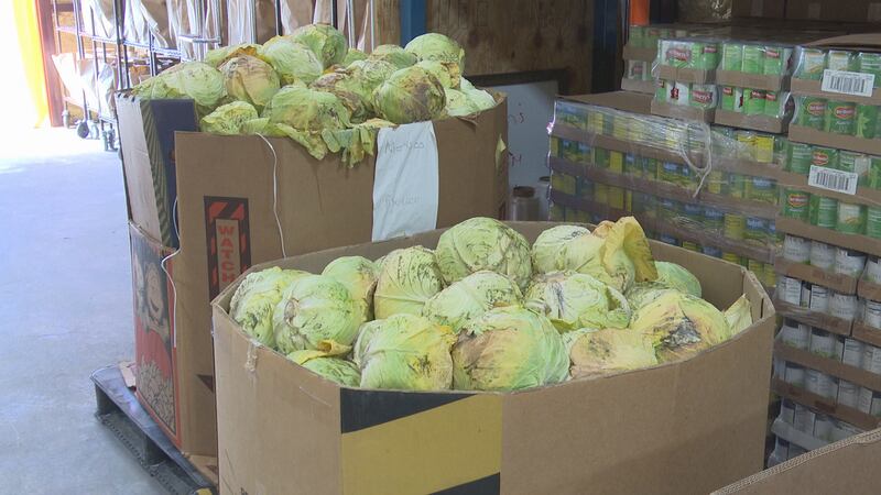 Food from Temple Christian Outreach