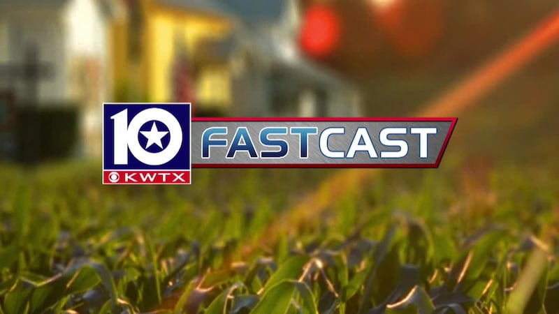 fastcast grass sunray sun beam morning sun summer spring