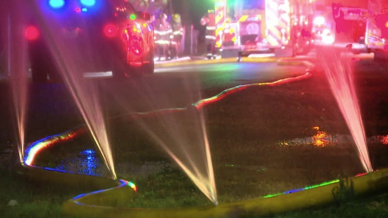 Dallas police officers arrested a woman early Friday morning for allegedly stabbing a fire...