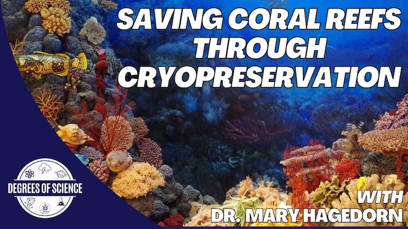 Saving Coral Reefs Through Cryopreservation
