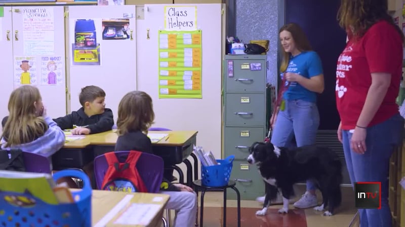 'No More Bullying': How trained companion animals help to teach students anti-bullying lessons