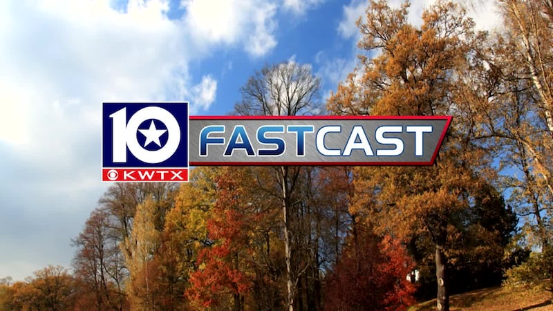 fastcast fall autumn trees tree forest orange brown yellow november december