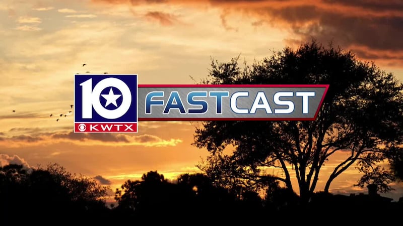 fastcast sunrise sunset birds shadows shadow tree trees treeline