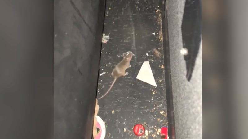 Waco Cinemark under investigation for mice after customer complaints