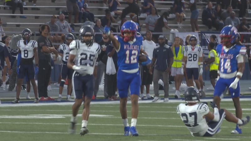 Temple's Ramauhn Brown celebrates after making an incredible catch.