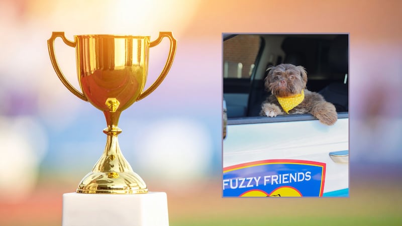 Fuzzy Friends Animal Rescue named TFNB charity champion