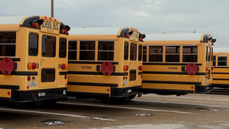 Waco I.S.D. school buses
