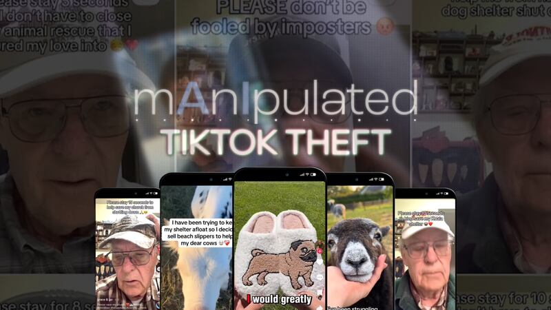 TikTok Faux: How scammers use AI to imitate popular creators, sell fake products