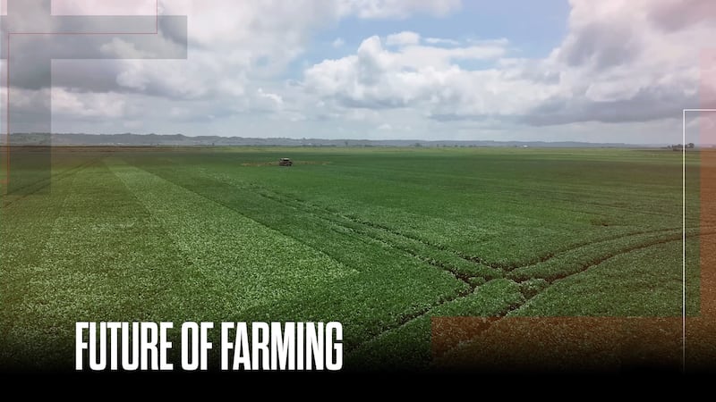 Could the next AI revolution be found on American farms?