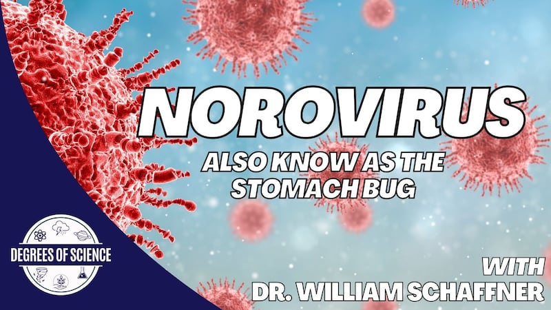 We talk with a national infectious disease expert about what Norovirus is and how to protect...