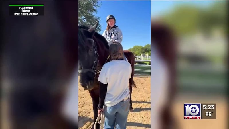 each Therapeutic Riding Center is hosting its Horses for Healing Charity Auction in November.