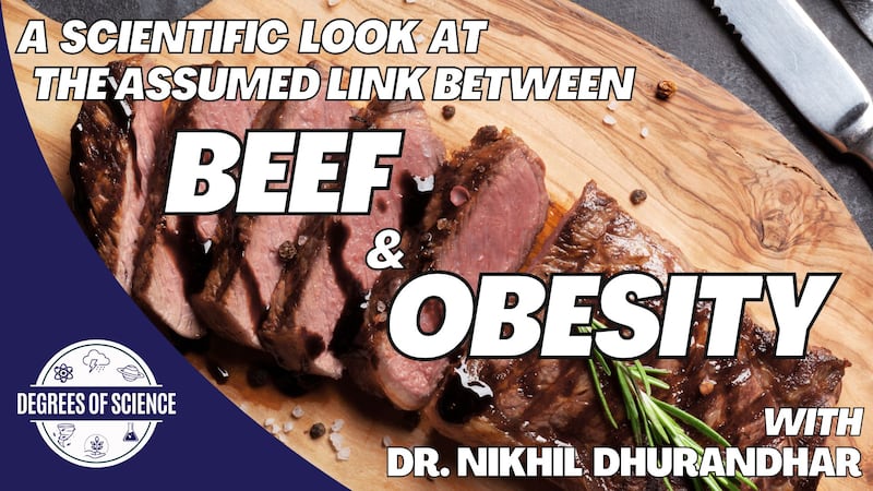 A recent research project takes a scientific look at the assumed link between Beef & Obesity