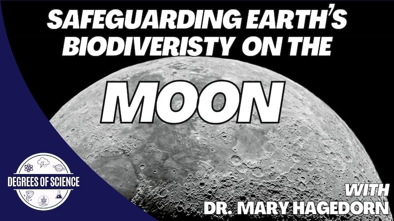 An “out of this world’ project to preserve genetic material on the Moon